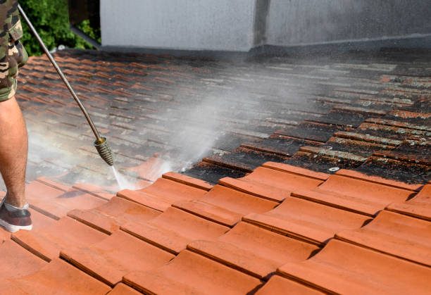 Best Affordable Pressure Washing  in Amarillo, TX